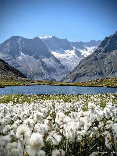 Aletsch Glacier and Ice Cave