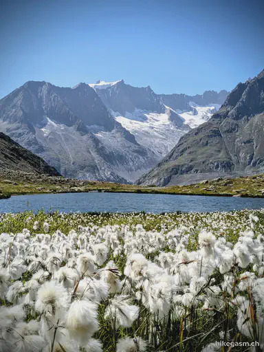 Aletsch Glacier and Ice Cave