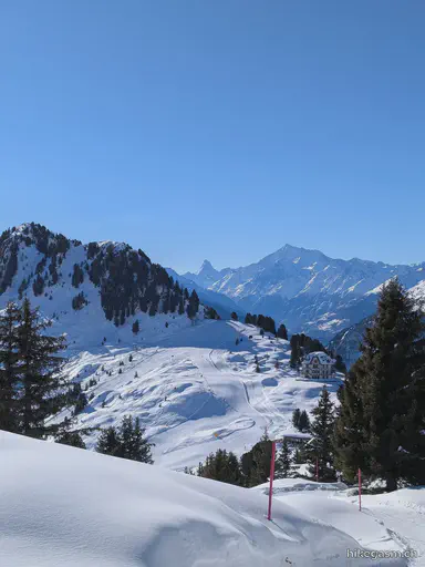 Aletsch Glacier Winter Hike