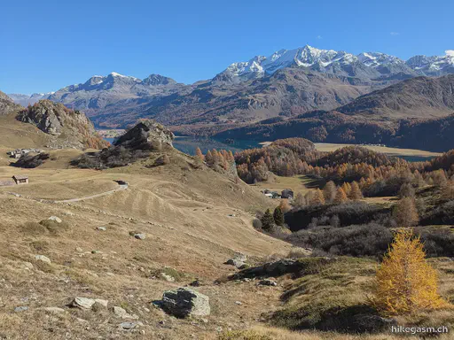Golden Autumn in Engadin