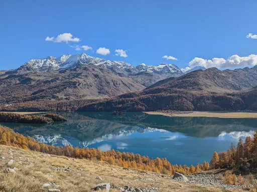 Golden Autumn in Engadin