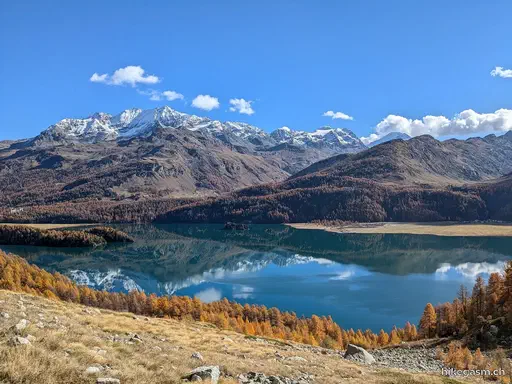 Golden Autumn in Engadin