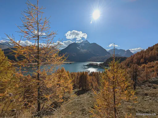 Golden Autumn in Engadin