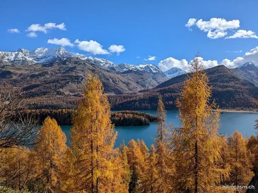 Golden Autumn in Engadin
