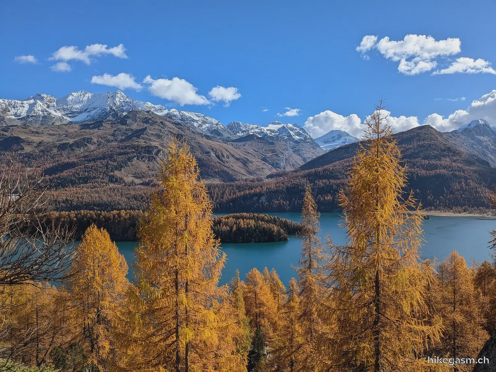 Golden Autumn in Engadin