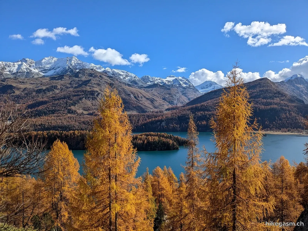 Golden Autumn in Engadin