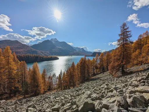 Golden Autumn in Engadin