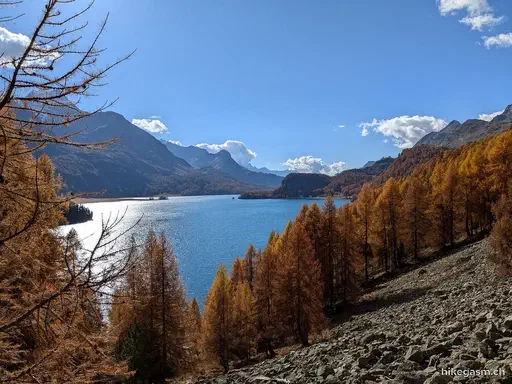 Golden Autumn in Engadin