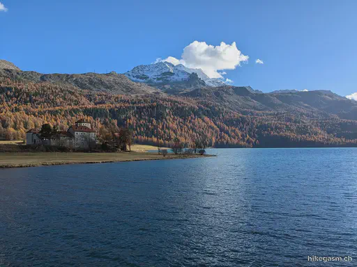 Golden Autumn in Engadin