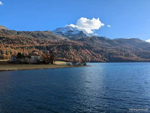 Golden Autumn in Engadin