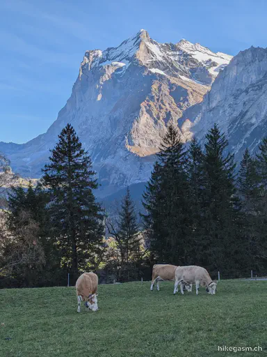 Grindelwald to Lauterbrunnen