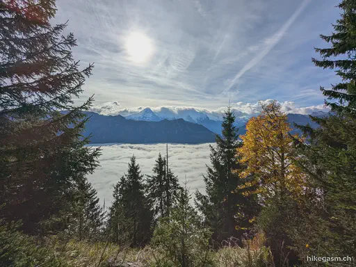 Hardergrat Ridge Hike
