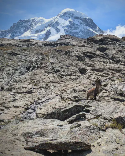 Matterhorn Glacier Trail