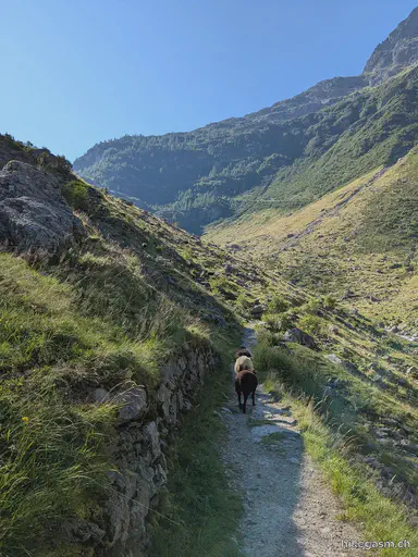 Triftsee Hike